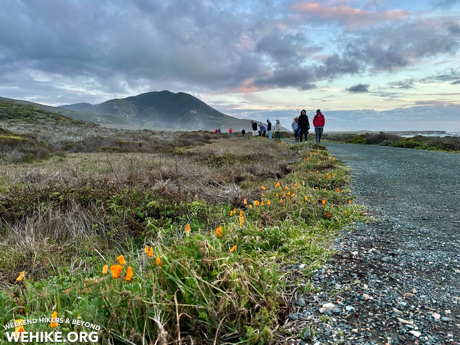 Bluffs walk at Montaña de Oro