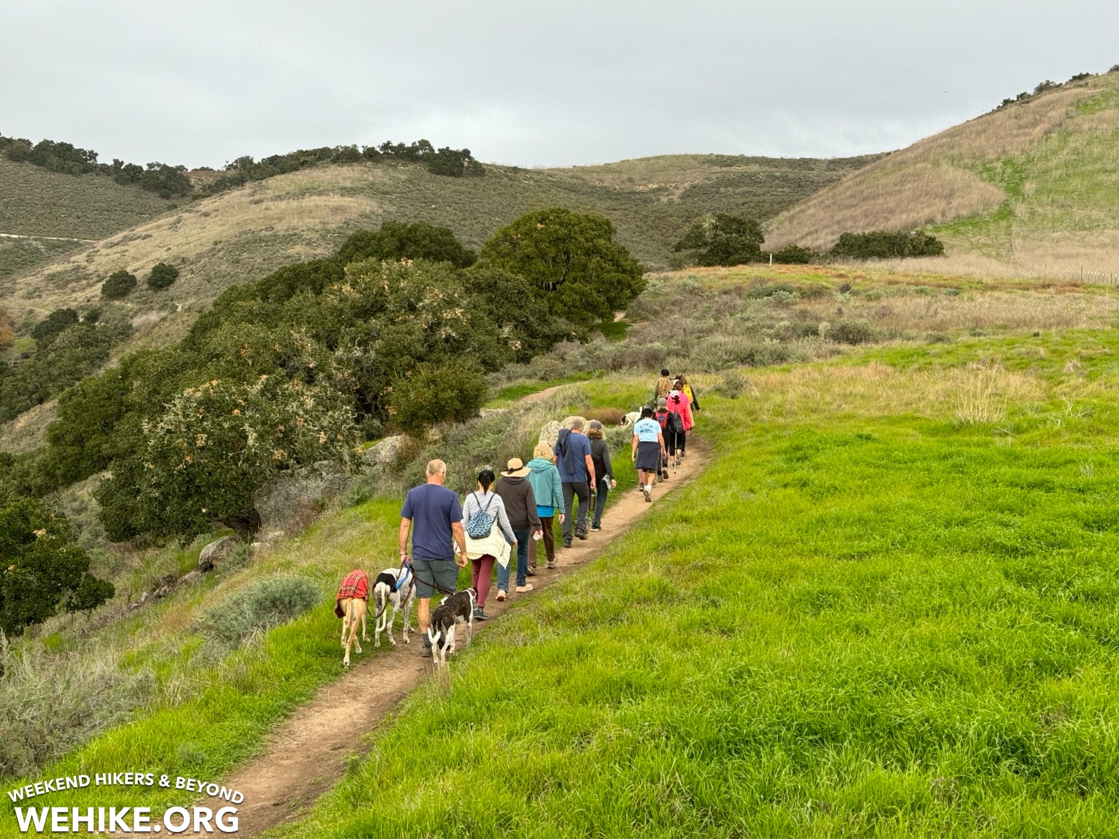 Pismo Preserve Spring to Spring trail
