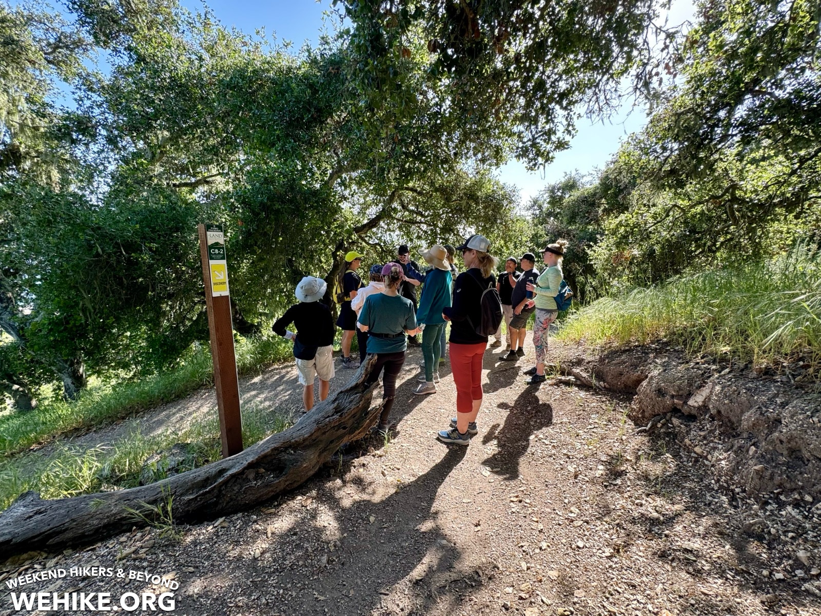 Pismo Preserve Spring to Spring trail