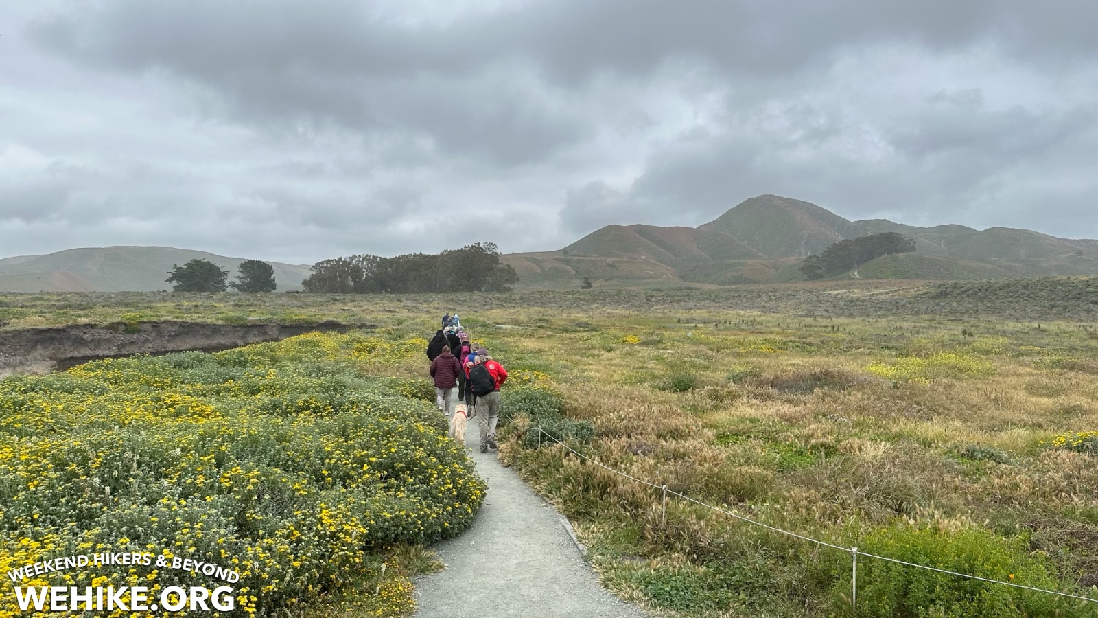 Bluffs walk at Montaña de Oro
