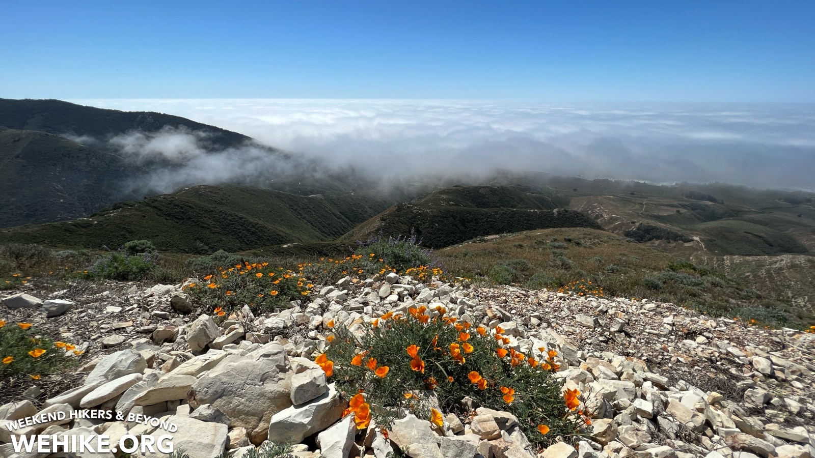 Valencia Peak at Montaña de Oro State Park