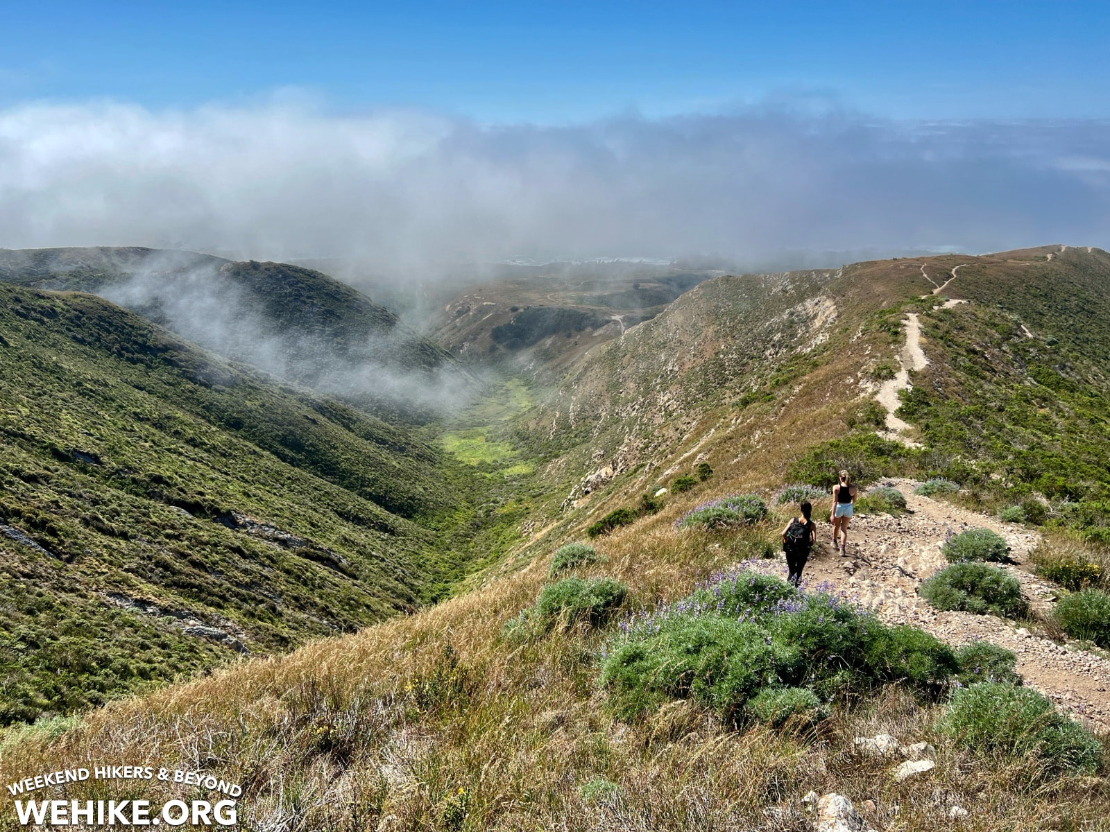 Valencia Peak at Montaña de Oro State Park